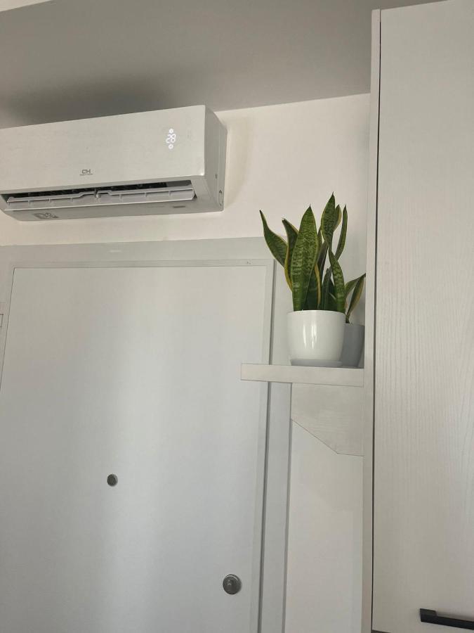 Comfy Nest Apartment- Free Parking Tirana Exteriér fotografie